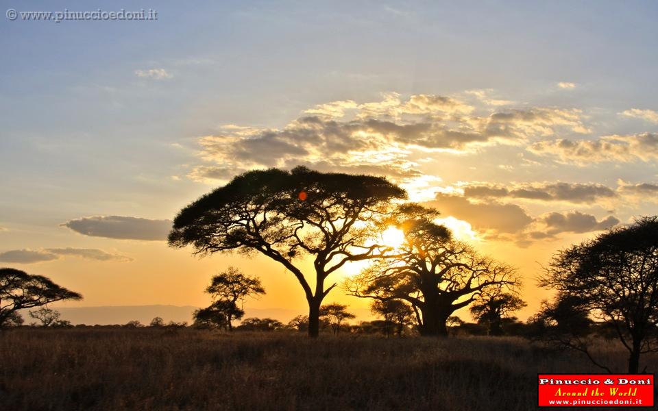 TANZANIA - Tarangire National Park - 42 Tramonto.jpg